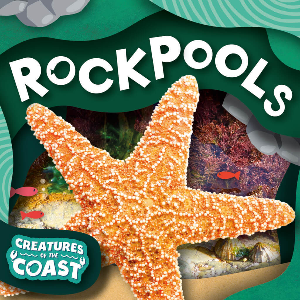 Cover of Rockpools from Creatures of the Coast