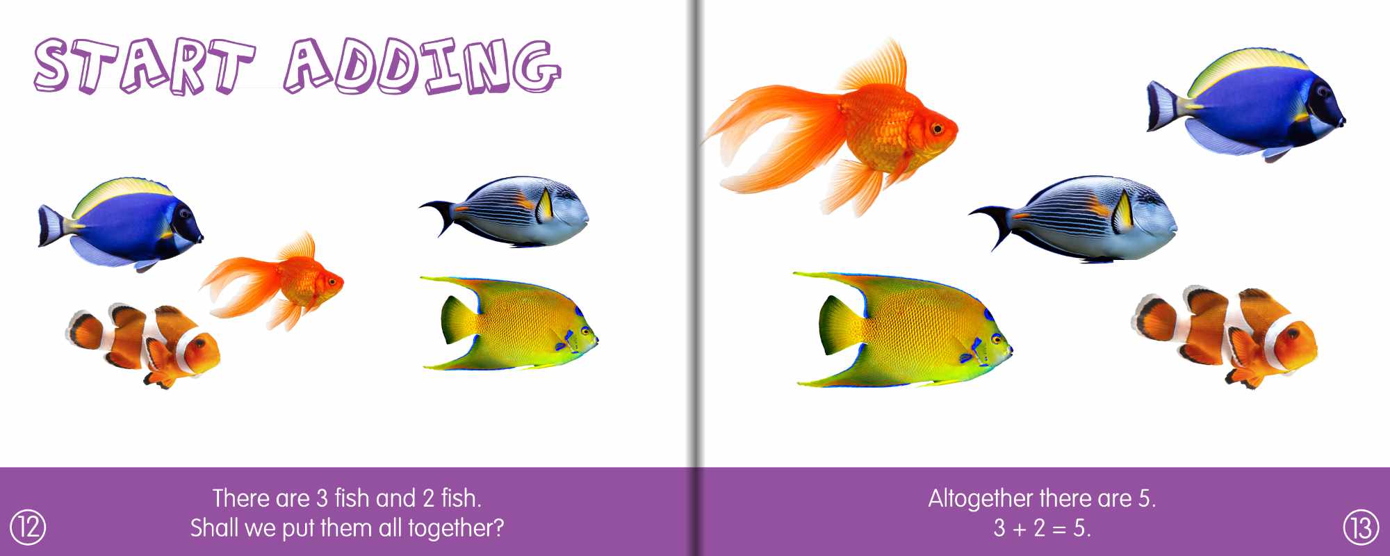 Add Maths Ranger Book Adding, First Maths | BookLife Publishing