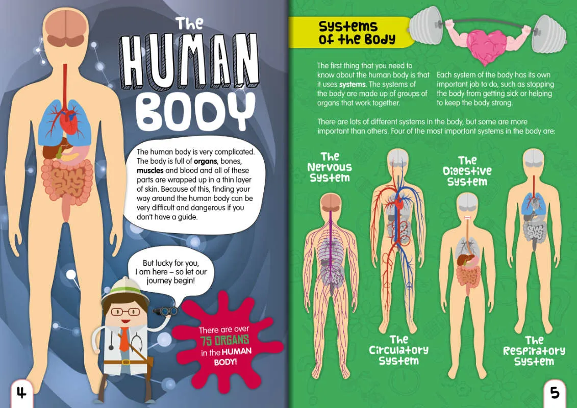Beautiful Brain, Journey Through the Human Body | BookLife Publishing